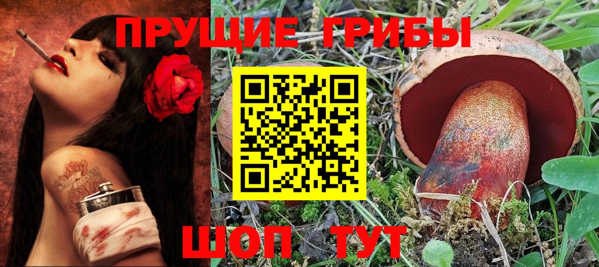 Псилоцибиновые грибы Psilocybe  где купить наркоту  Йошкар-Ола  Вход с VPN 